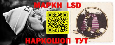 стафф Будённовск