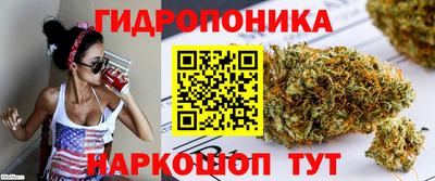 стафф Будённовск
