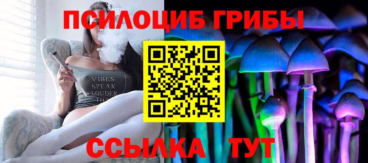 Псилоцибиновые грибы Psilocybe  Псилоцибиновые грибы прущие грибы  Вход с VPN  Кызыл 
