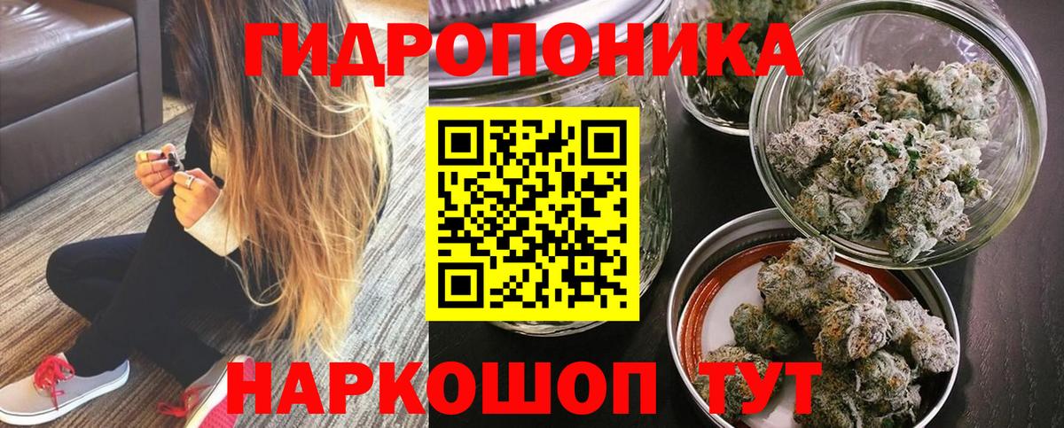 Каннабис сатива Кызыл